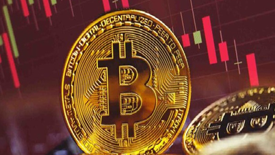 Mercado de criptomonedas hoy, 26 de noviembre: Aparecen desarrollos raros e inesperados
