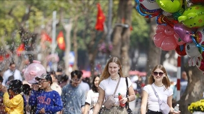 하노이 관광은 계속 성장하고 있으며 11월에는 250만 명의 방문객을 유치했습니다.