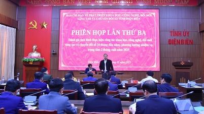 Schwerpunkt auf der Umsetzung von Aufgaben und Lösungen für die Wissenschafts- und Technologieentwicklung sowie die digitale Transformation