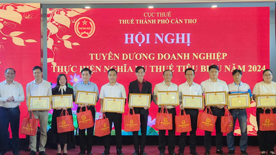 Can Tho: Ocenění 220 příkladných daňově placených podniků