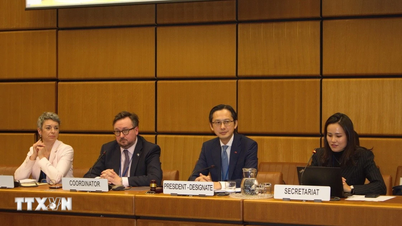 Вьетнам проводит консультации по обзорной конференции Договора о нераспространении ядерного оружия