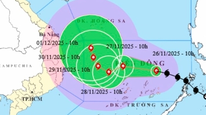 وزیر اعظم نے طوفان نمبر 15 کا اعلیٰ ترین اور سخت ترین سطح پر بھرپور جواب دینے کی درخواست کی۔