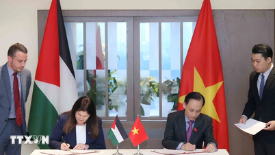 Министр Ле Хоай Чунг проводит переговоры с министром иностранных дел и палестинскими эмигрантами