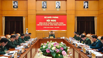 Превращение особой зоны Тхо Чау в стратегический опорный пункт юго-западной системы обороны