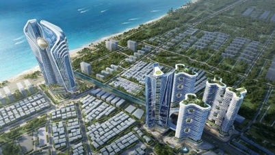 Da Nang atrage fluxuri internaționale de capital în Zona de Liber Schimb și Centrul Financiar