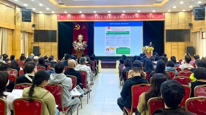 Hoan Kiem: Umsetzung von 60 Spitzentagen bei der Umstellung von Steuerzahlungsmodellen