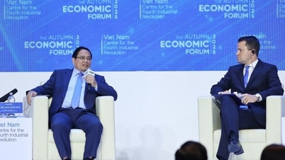 وزیر اعظم: سائنس اور ٹیکنالوجی ویتنام کو ترقی یافتہ ملک بنائے گی۔