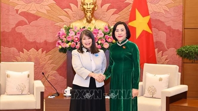 국회 부의장 응우옌 티 탄, 유니세프·CRC 지도자들 접견