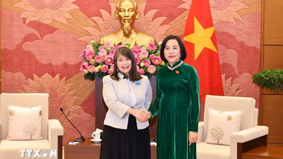 អនុប្រធានរដ្ឋសភា Nguyen Thi Thanh បានទទួលជួបនាយក UNICEF អាស៊ីបូព៌ា-ប៉ាស៊ីហ្វិក។