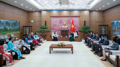 A vice-presidente da Assembleia Nacional, Nguyen Thi Thanh, recebeu líderes do UNICEF e do Comitê das Nações Unidas sobre os Direitos da Criança.