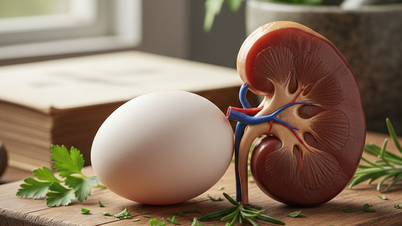 ماہر: کیا کمزور گردے والے افراد کو انڈے کھانے چاہئیں؟