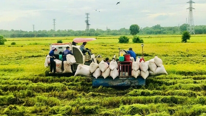 ນະວັດຕະກໍາທົ່ວສັງຄົມ