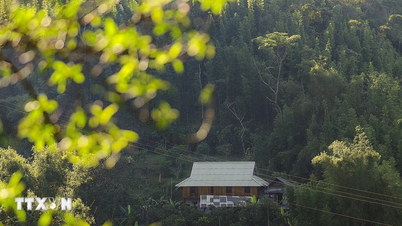 Phu Tho: Combining culture and tourism in a new connecting space