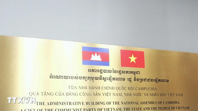 ベトナムの対外援助を規制する法令