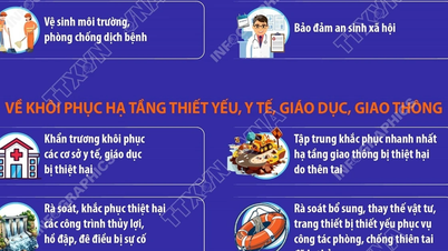 Guvernul are nevoie de stabilizarea vieții oamenilor și de restabilirea producției și a afacerilor.