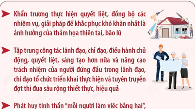 Vârful emulării pentru a depăși așteptările și a finaliza cu succes sarcinile în 2025
