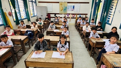 Sel sonrası öğrenme toparlanması: Yasal yükümlülüklere ihtiyaç var