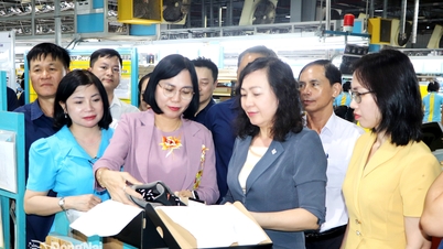 Dong Nai tiltrekker seg utenlandske direkteinvesteringer som overgår 2025-planen