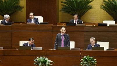 Pada 27 November, Perhimpunan Negara membincangkan di dalam dewan draf Undang-undang Pelaburan (dipinda).