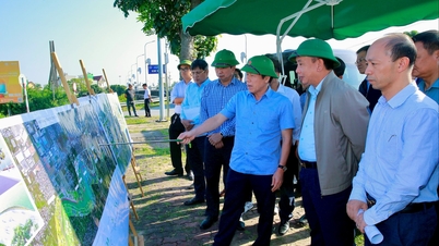 Ο Γραμματέας της Επιτροπής του Κόμματος της Πόλης, Λε Τιέν Τσάου, διηύθυνε την επείγουσα εφαρμογή του έργου του αναχώματος του ποταμού Σατ και την αναβάθμιση του δεξιού φράγματος του ποταμού Τάι Μπινχ.