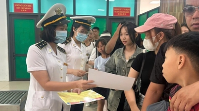 북서부 지역 국경 관문의 의료 보호막