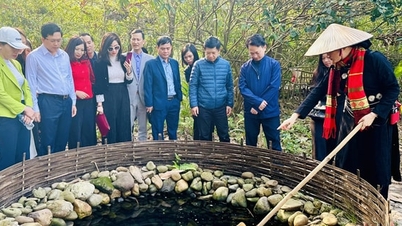 27 नवंबर, 2025 को हनोई मोई अखबार पर विशेष समाचार