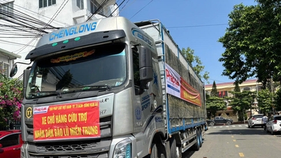 עיתון החוק הווייטנאמי מספק יותר מ-20 טון של מוצרים חיוניים לאנשים באזורים שנפגעו מהצפות