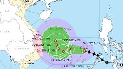 ראש הממשלה הורה למנוע, להימנע ולהגיב באופן יזום לסופה מספר 15.