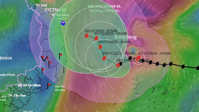 A tempestade Koto atinge o nível máximo 12, e a costa de Da Nang-Lam Dong registra chuvas.
