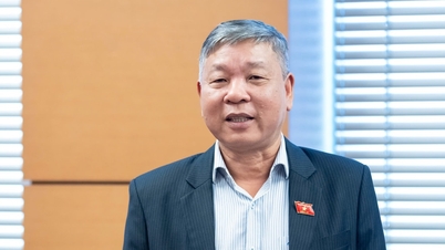 تحسين اللوائح المتعلقة بالزراعة عالية التقنية