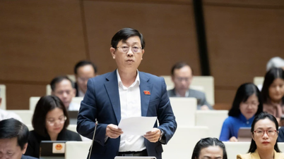 Morgennachrichten vom 27.11.: Die Nationalversammlung erwägt einen Vorschlag zur Reduzierung der Gewerbelizenzen für 25 Branchen.