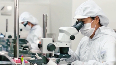 박닌성, 산업단지 투자 유치액 68억 달러 돌파