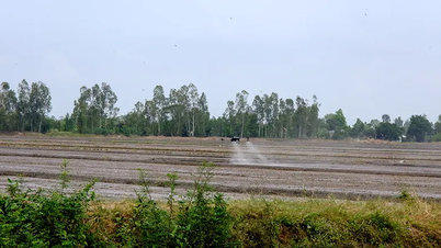 Promoting digital transformation, towards smart new rural areas