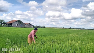 Changes in Ba Na village