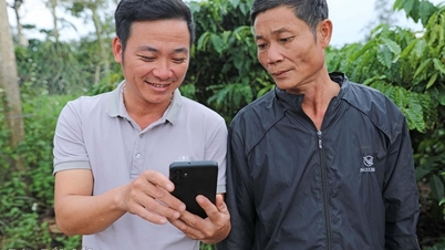 כיסוי מיומנויות דיגיטליות לאנשים