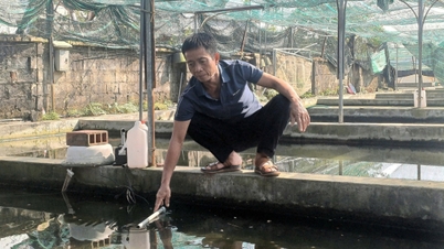 អ្នកស្រុក Thien Huong ងើបឡើងក្លាយជាអ្នកមាន ដោយសារការគាំទ្រព័ត៌មានទាន់ពេលវេលា