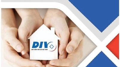 Aanpassing van het mechanisme voor verzekeringsuitkeringslimieten om de belangen van deposanten beter te beschermen