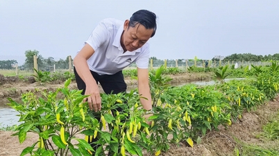 Adaptacyjne modele środków utrzymania dla zmian na wybrzeżu