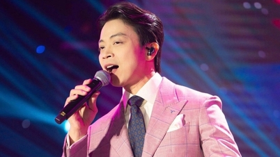 לאן נה ביטל את ההופעה בהאנוי לאחר מחלוקת סביב מחירי הכרטיסים הגבוהים כמו ל"מי טאם" ו"הא אן טואן".