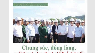 Please read Hue Today Weekend No. 48, published on November 27.