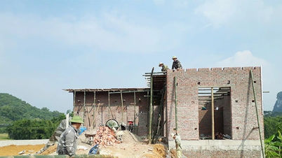 גגות חדשים - בסיס איתן לעתיד