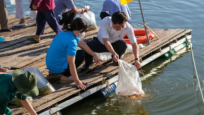 Posílení ochrany volně žijících živočichů a vodních zdrojů