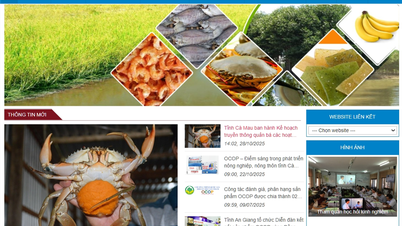 Содействие развитию OCOP и сельского туризма в период 2026–2030 гг.