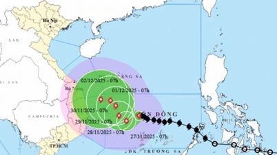La tormenta Koto se fortalece al nivel 12 y cambia constantemente de dirección en el mar.