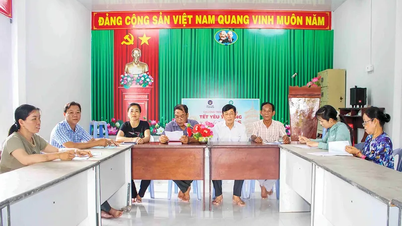 قرارداد کو بلند عزم کے ساتھ نافذ کریں۔