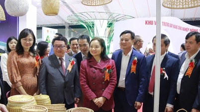 Pameran Pameran Produk Perindustrian Luar Bandar: Tempat di mana produk tipikal dari seluruh negara berkumpul