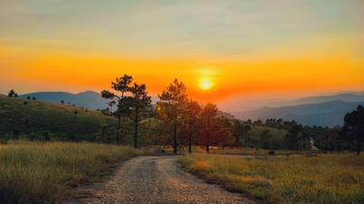 一年で最も美しい草焼きの季節にフェニックスヒルを鑑賞しましょう