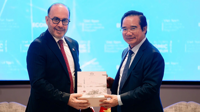 হো চি মিন সিটি থেকে মার্কিন যুক্তরাষ্ট্রে সরাসরি ডেলিভারি রুট খুলতে চলেছে অ্যামাজন।