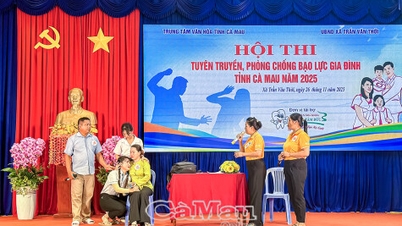 Casi 200 propagandistas participan en el concurso para prevenir la violencia doméstica