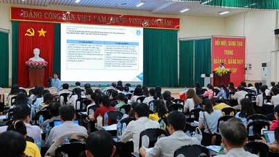 Se completó la formación profesional en seguros para 96 ​​comunas y distritos.